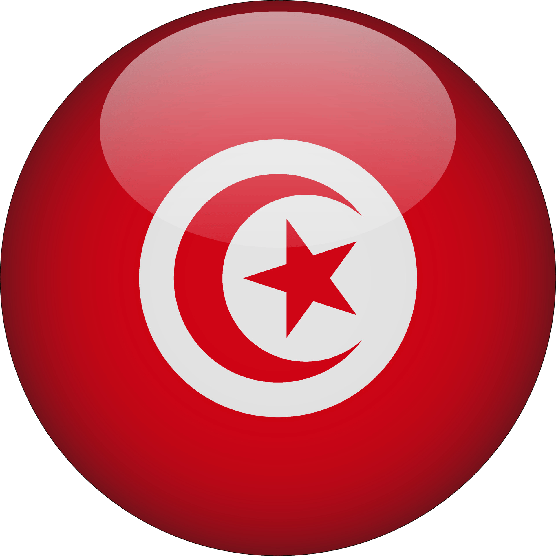 drapeau Tunisie en 3d